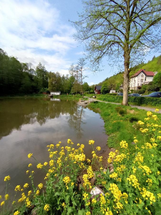 Ferienwohnung Sauerland Burgfenster Lennestadt Luaran gambar